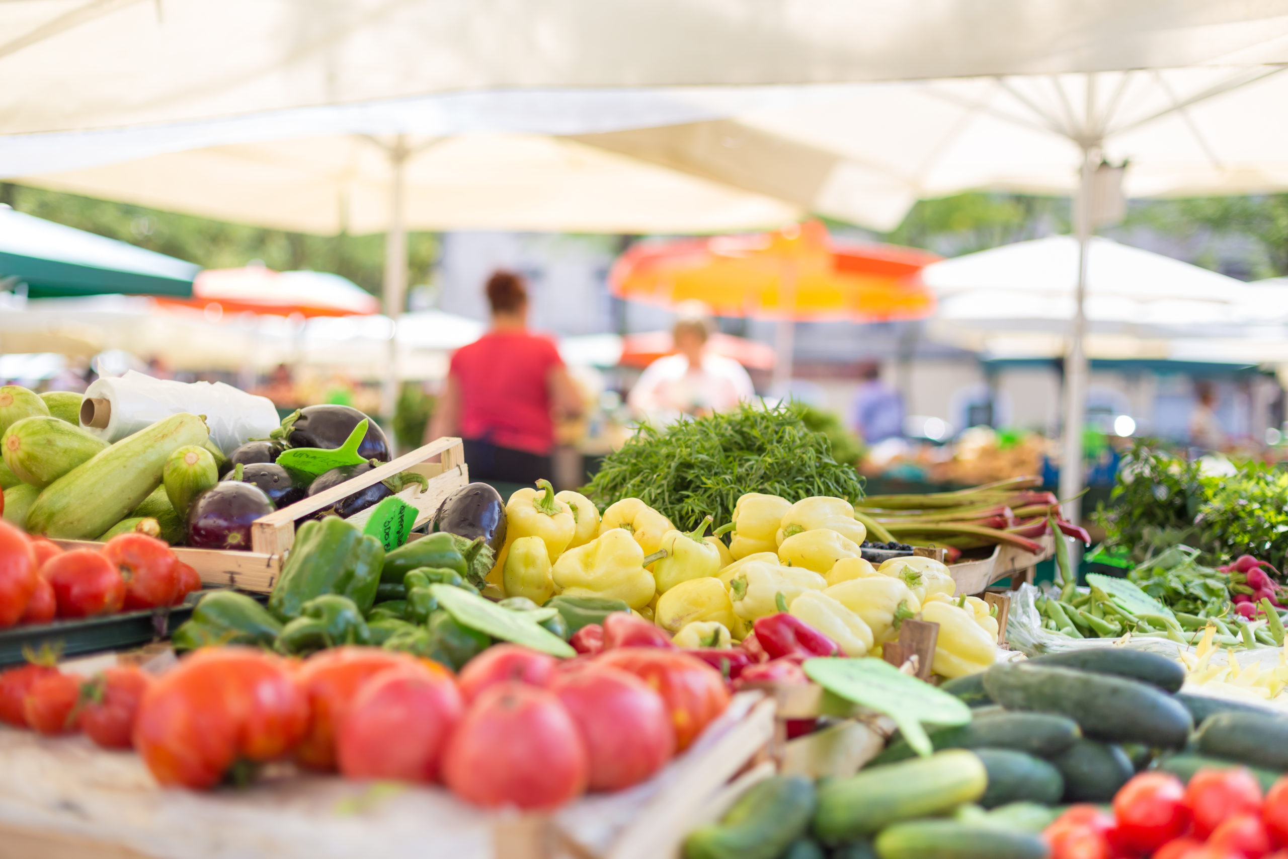  Farmers Market Seasonal Vegetable Bundle : Grocery